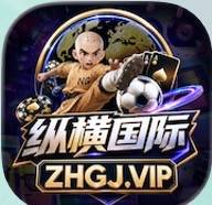 纵横国际